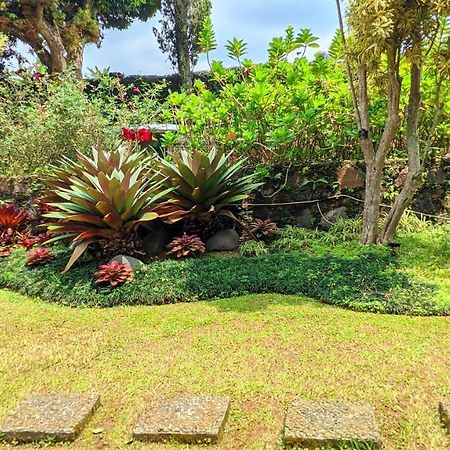 Garden Villas Cipanas Sindanglaya Exteriér fotografie